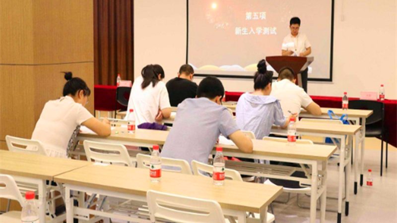 在线教育细分行业：揭秘十大品牌背后的故事